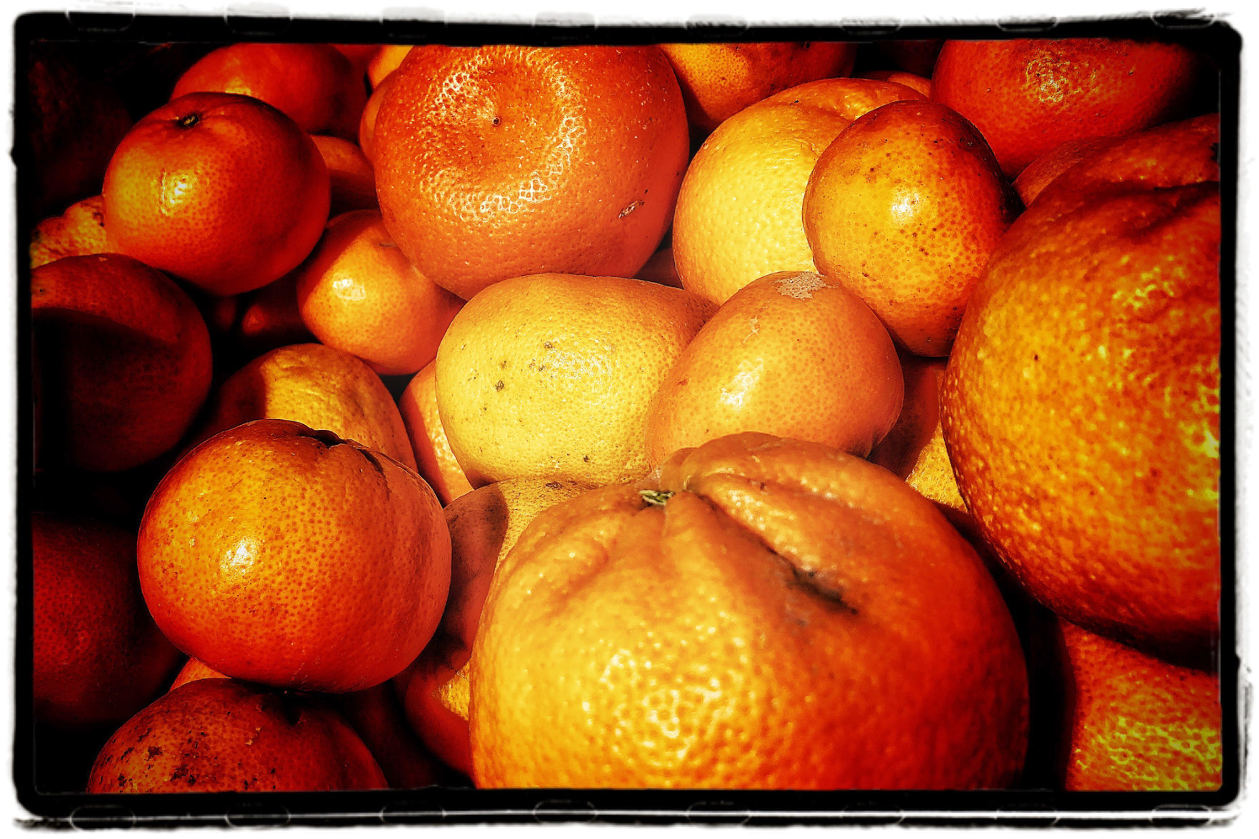 Farmers Market Produce